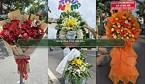 Shop Hoa Tươi Cái Dầu - Huyện Châu Phú (Cũ)