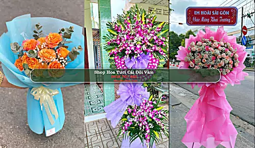 Shop Hoa Tươi Cái Đôi Vàm - Huyện Phú Tân (Cũ)