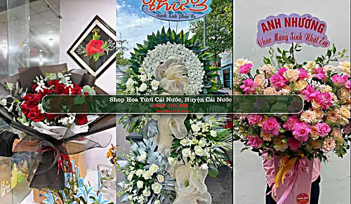 Shop Hoa Tươi Cái Nước - Huyện Cái Nước (Cũ)