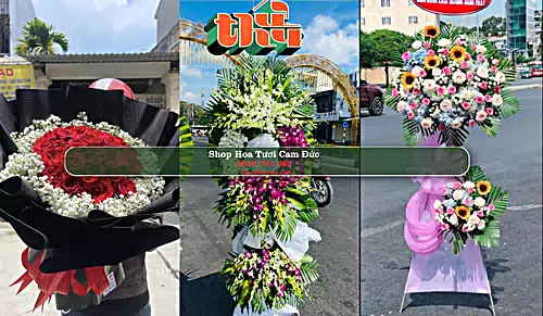 Shop Hoa Tươi Cam Đức - Huyện Cam Lâm (Cũ)