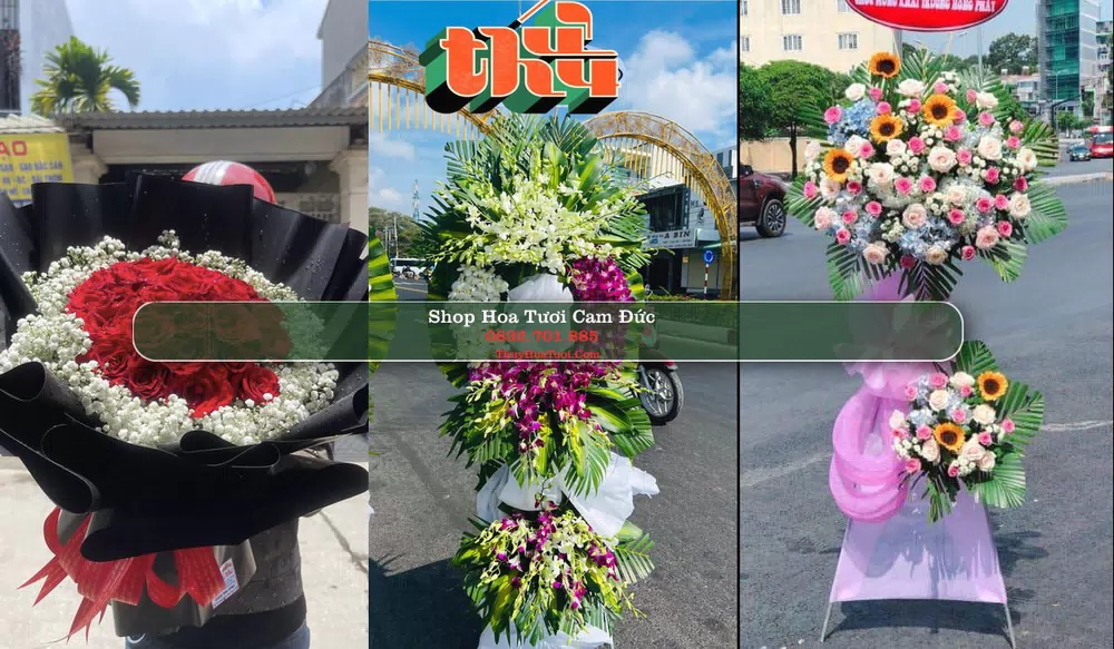 Shop Hoa Tươi Cam Đức - Huyện Cam Lâm (Cũ)