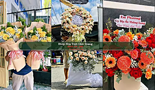 Shop Hoa Tươi Cẩm Giang - Huyện Cẩm Giàng (Cũ)