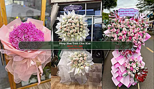 Shop Hoa Tươi Cẩm Khê - Huyện Cẩm Khê (Cũ)