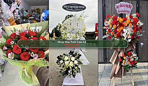 Shop Hoa Tươi Cam Lộ - Huyện Cam Lộ (Cũ)