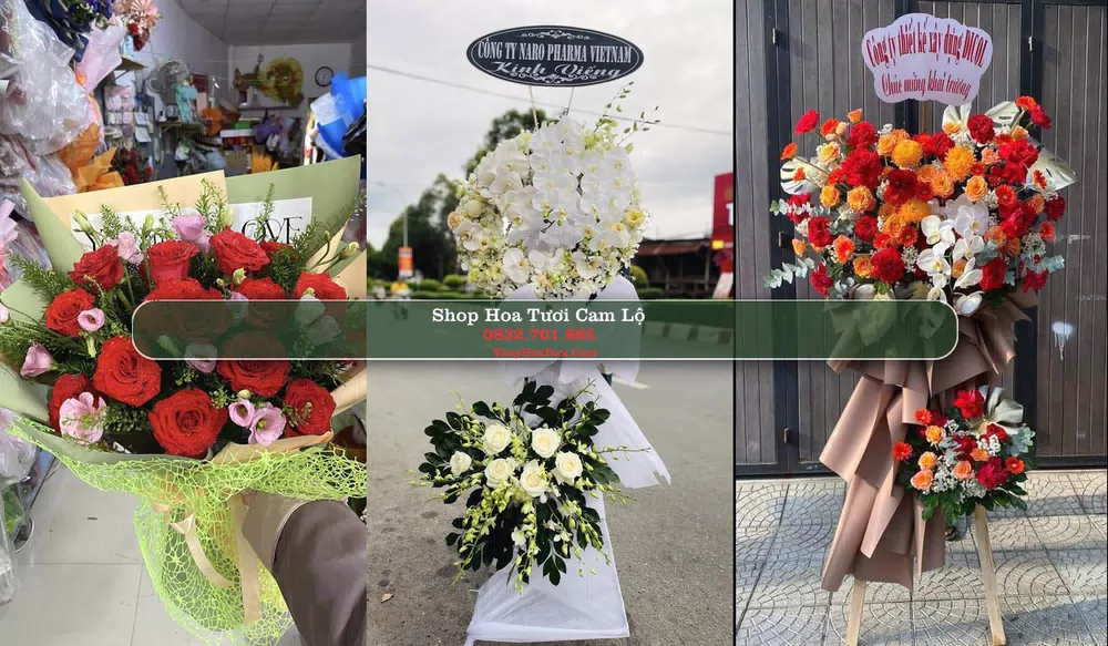Shop Hoa Tươi Cam Lộ - Huyện Cam Lộ (Cũ)