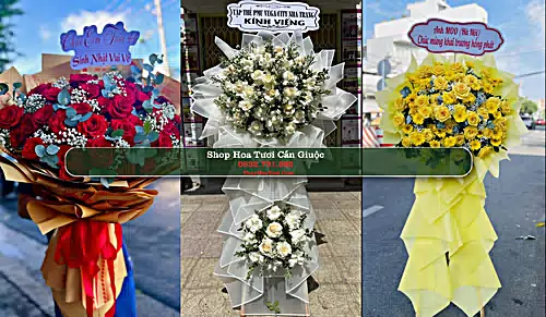 Shop Hoa Tươi Cần Giuộc - Huyện Cần Giuộc (Cũ)