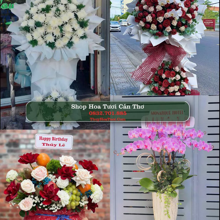 Shop Hoa Tươi Cần Thơ - Đặt Hoa Online Giao Nhanh