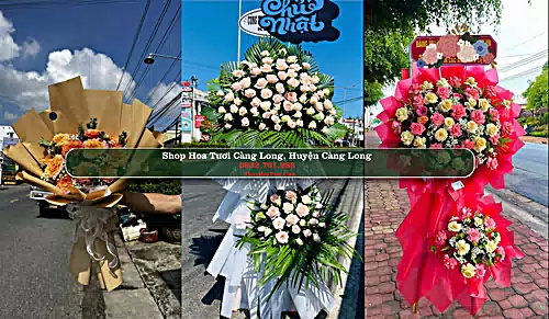 Shop Hoa Tươi Càng Long - Huyện Càng Long (Cũ)