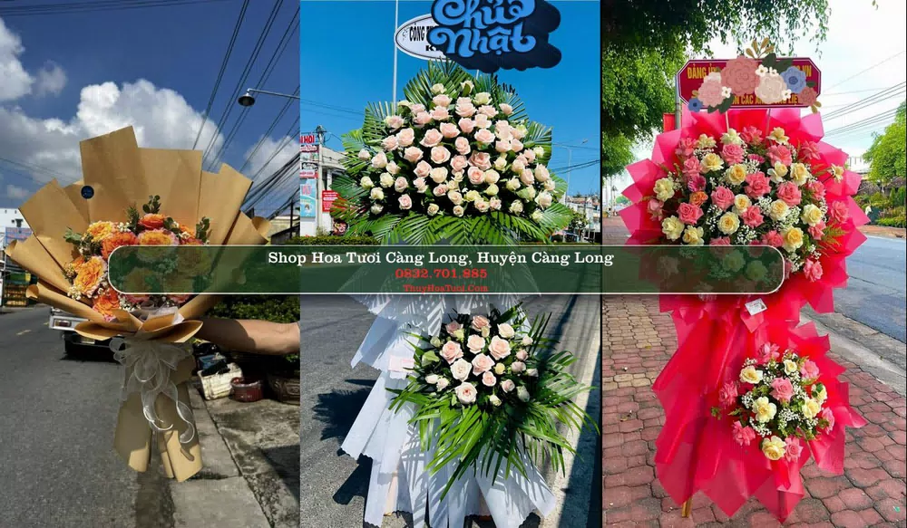 Shop Hoa Tươi Càng Long - Huyện Càng Long (Cũ)
