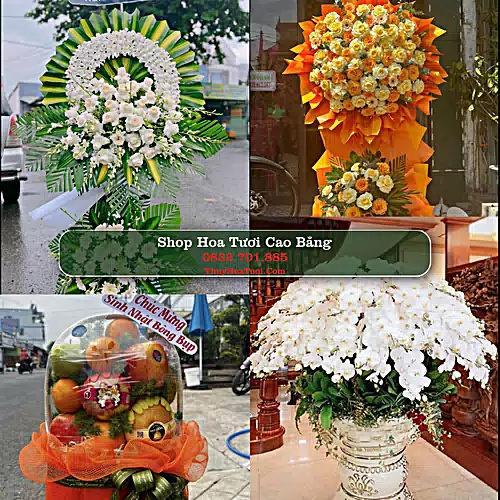 Điện Hoa Cao Bằng - Shop Hoa Tươi Uy Tín