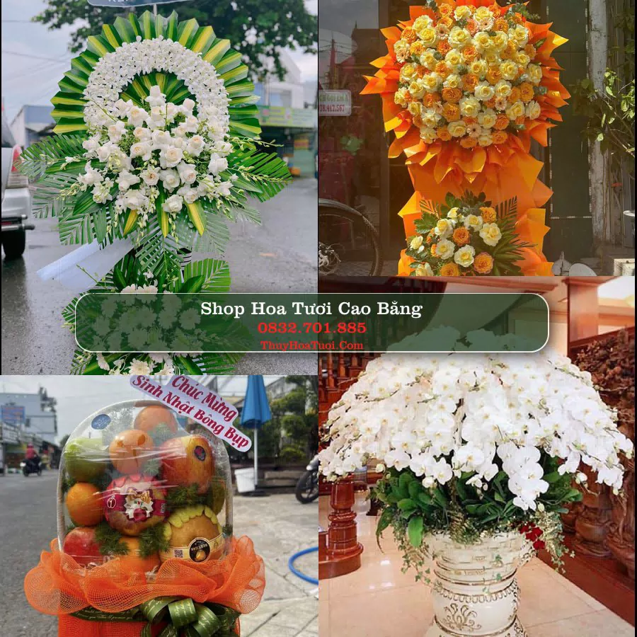Điện Hoa Cao Bằng - Shop Hoa Tươi Uy Tín