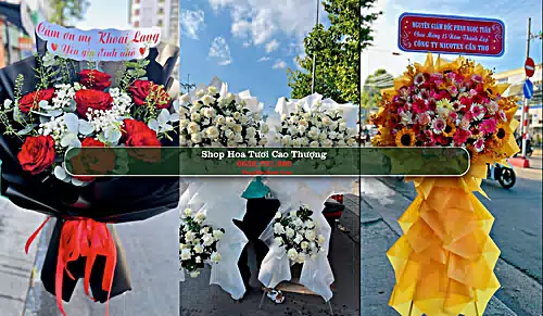 Shop Hoa Tươi Cao Thượng - Huyện Tân Yên (Cũ)