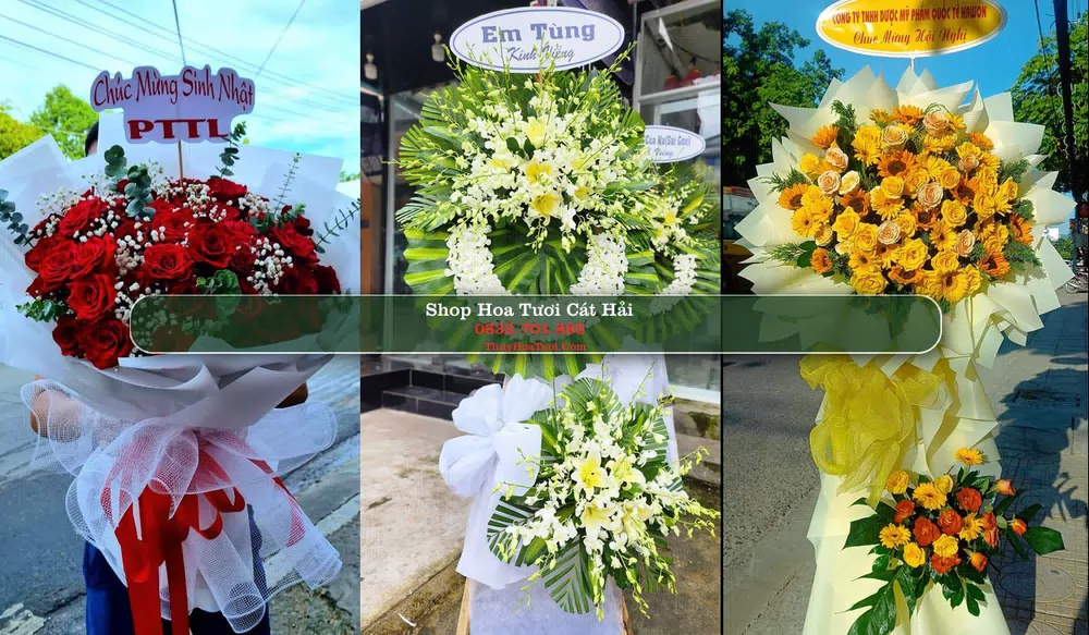 Shop Hoa Tươi Cát Hải - Huyện Cát Hải (Cũ)