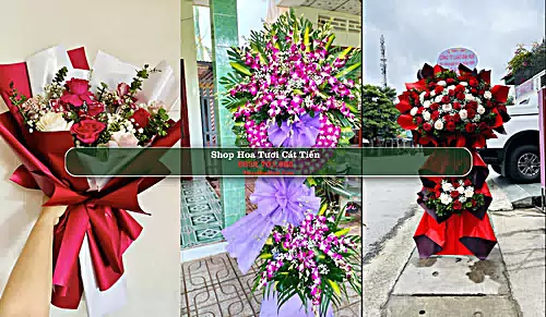 Shop Hoa Tươi Cát Tiến - Huyện Phù Cát (Cũ)