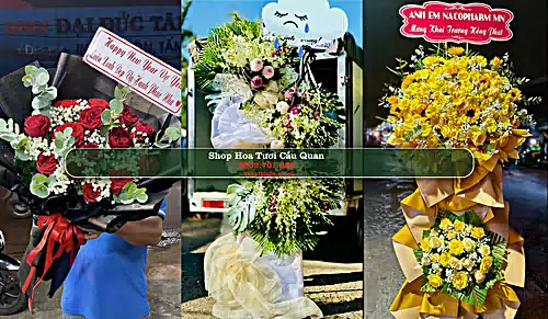 Shop Hoa Tươi Cầu Quan - Huyện Tiểu Cần (Cũ)