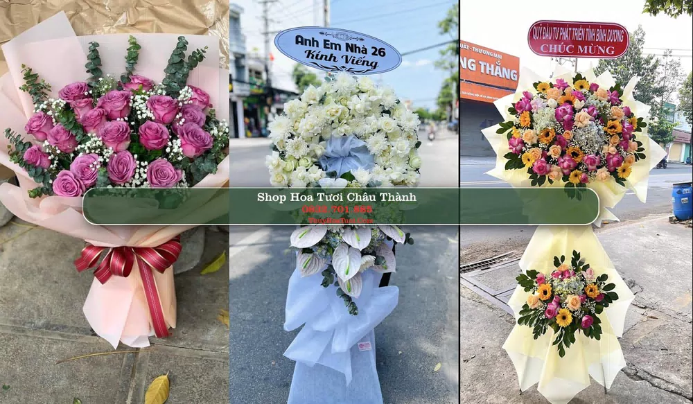 Shop Hoa Tươi Châu Thành - Huyện Châu Thành (Cũ)