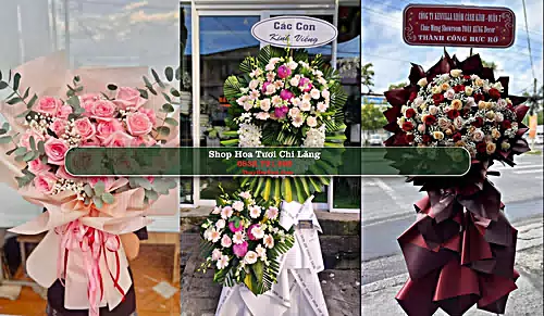 Shop Hoa Tươi Chi Lăng - Huyện Tịnh Biên (Cũ)