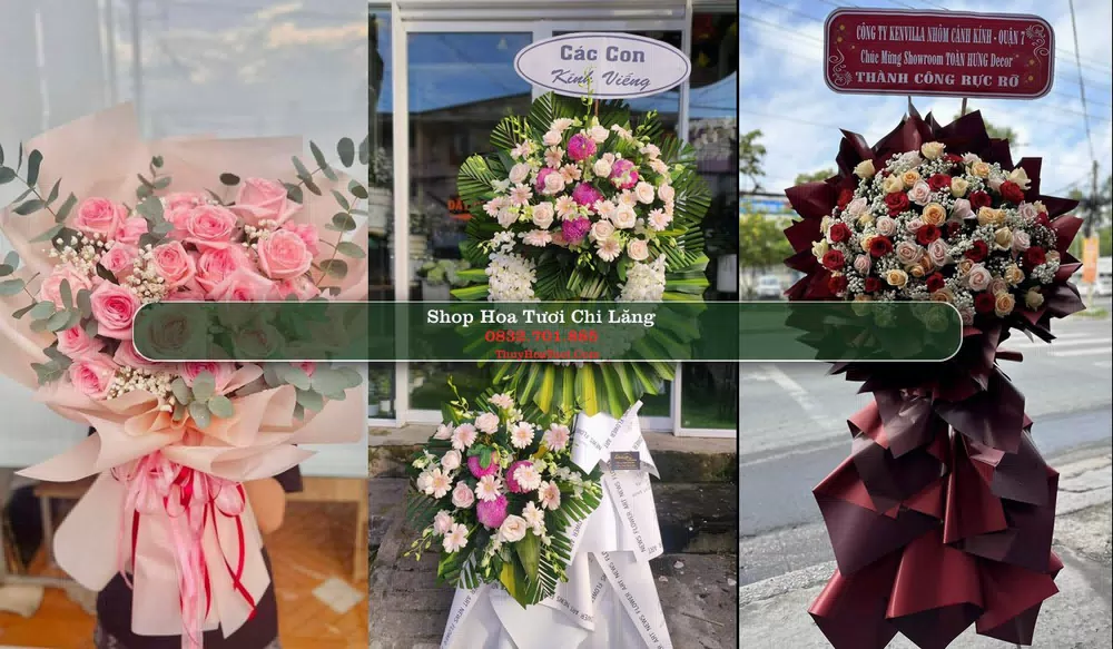 Shop Hoa Tươi Chi Lăng - Huyện Tịnh Biên (Cũ)