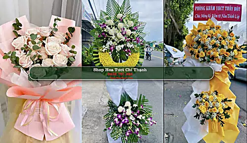 Shop Hoa Tươi Chí Thạnh - Huyện Tuy An (Cũ)