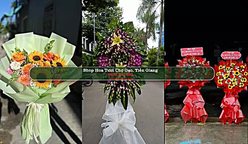 Shop Hoa Tươi Chợ Gạo - Huyện Chợ Gạo (Cũ)