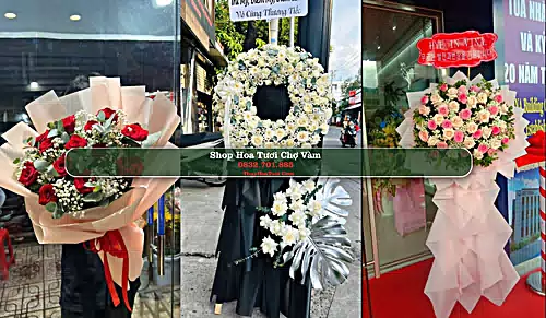 Shop Hoa Tươi Chợ Vàm - Huyện Phú Tân (Cũ)
