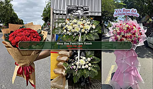 Shop Hoa Tươi Chơn Thành - Bình Phước (Cũ)