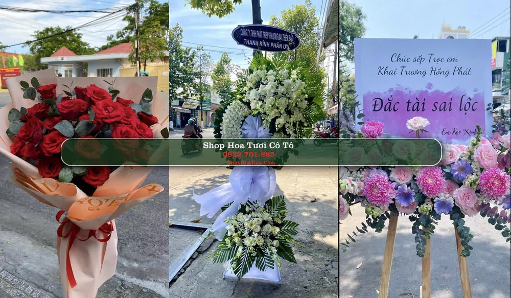 Shop Hoa Tươi Cô Tô - Huyện Tri Tôn (Cũ)