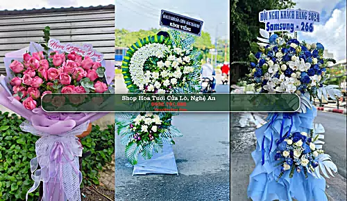 Shop Hoa Tươi Cửa Lò - Nghệ An (Cũ)