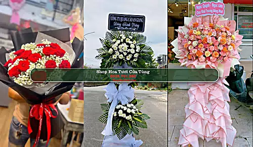 Shop Hoa Tươi Cửa Tùng - Huyện Vĩnh Linh (Cũ)