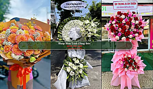 Shop Hoa Tươi Củng Sơn - Huyện Sơn Hòa (Cũ)