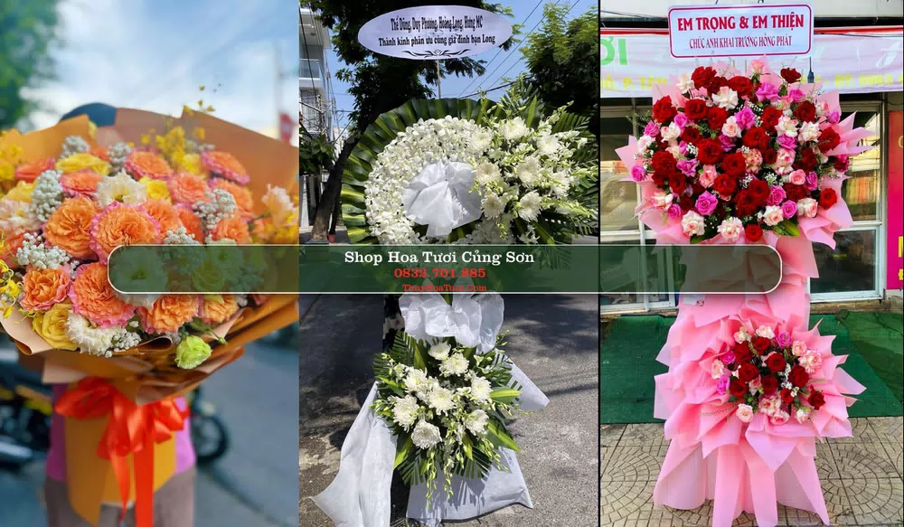 Shop Hoa Tươi Củng Sơn - Huyện Sơn Hòa (Cũ)