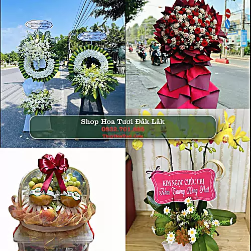 Shop Hoa Tươi Đắk Lắk