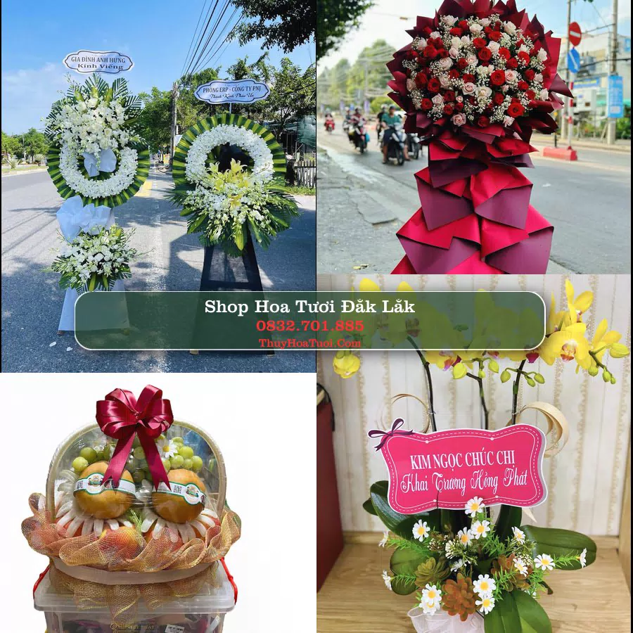 Shop Hoa Tươi Đắk Lắk