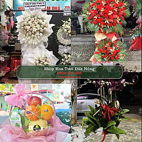 Shop Hoa Tươi Đắk Nông - Điện Hoa Giao Tận Nơi