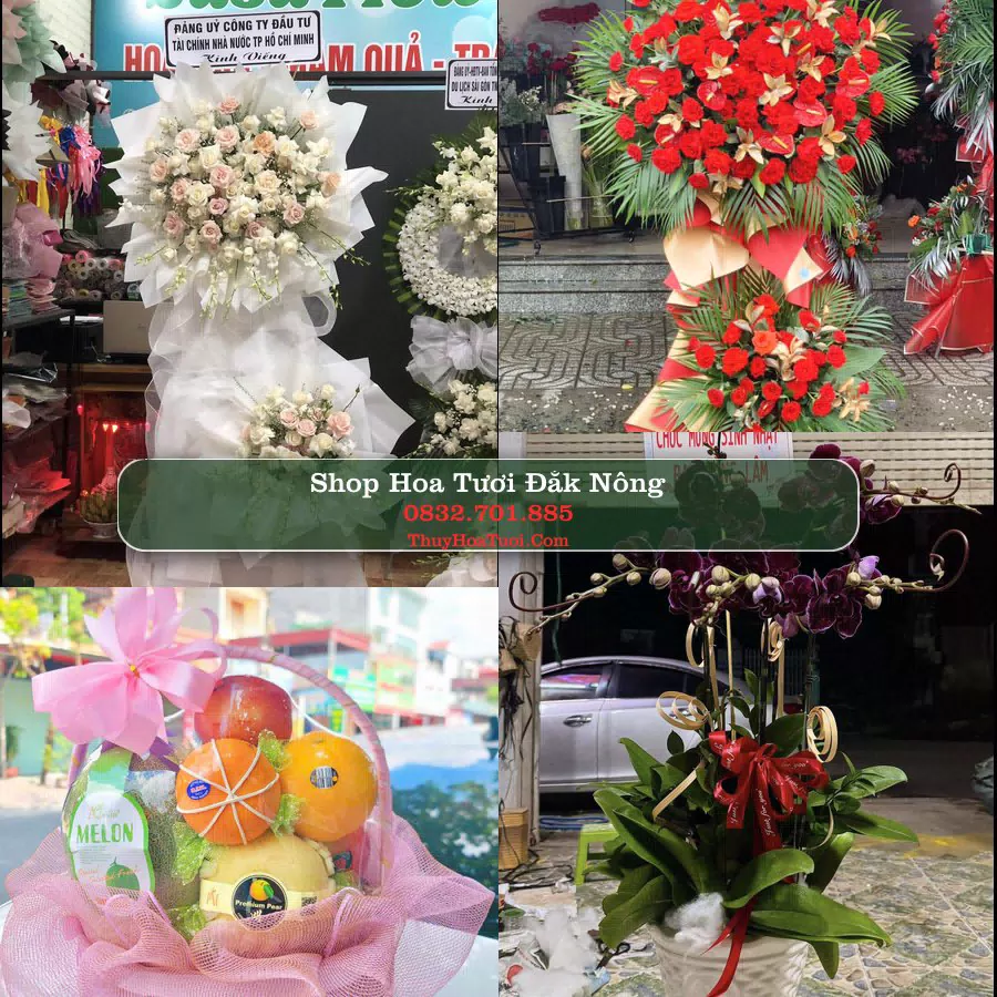 Shop Hoa Tươi Đắk Nông - Điện Hoa Giao Tận Nơi