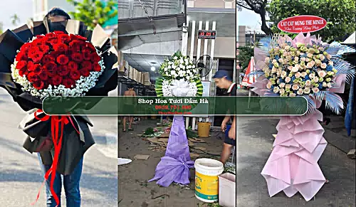 Shop Hoa Tươi Đầm Hà - Huyện Đầm Hà (Cũ)