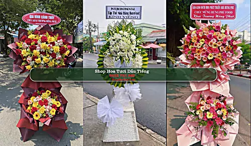 Shop Hoa Tươi Dầu Tiếng - Huyện Dầu Tiếng (Cũ)