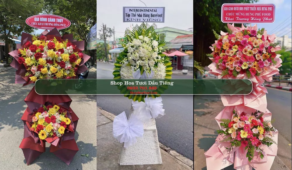 Shop Hoa Tươi Dầu Tiếng - Huyện Dầu Tiếng (Cũ)