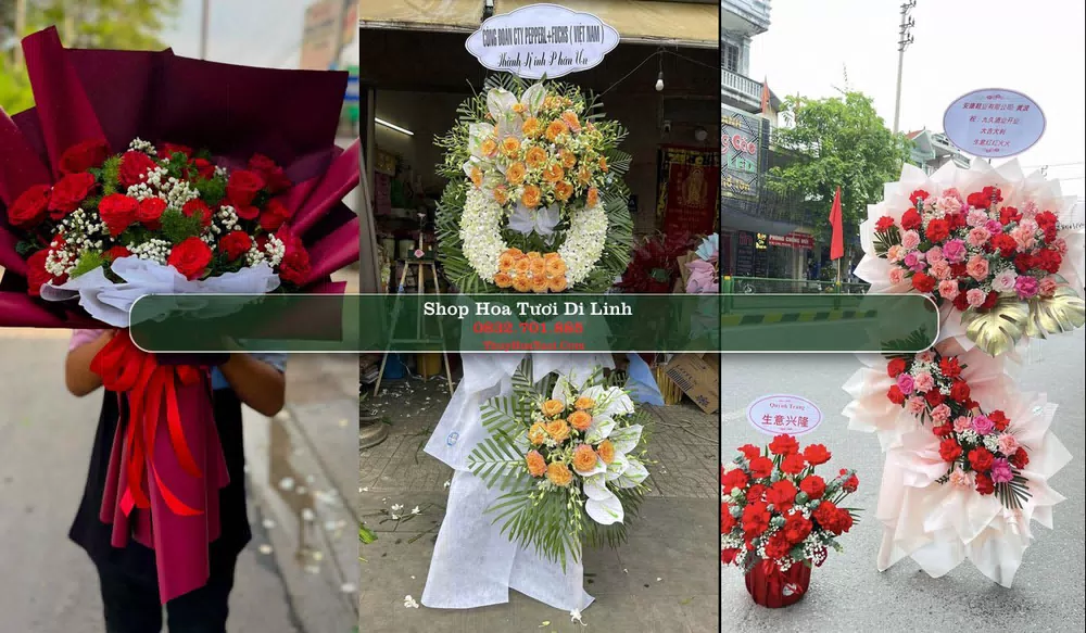 Shop Hoa Tươi Di Linh - Huyện Di Linh (Cũ)