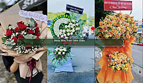Shop Hoa Tươi Diễn Châu - Huyện Diễn Châu (Cũ)