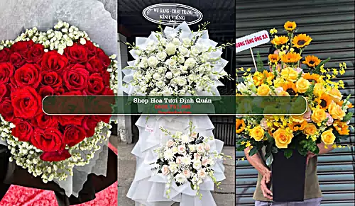 Shop Hoa Tươi Định Quán - Huyện Định Quán (Cũ)