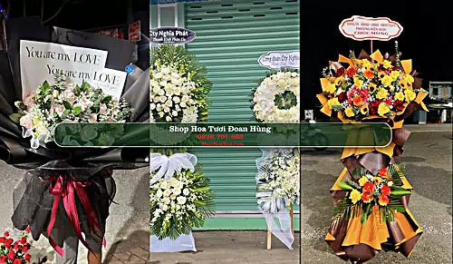 Shop Hoa Tươi Đoan Hùng - Huyện Đoan Hùng (Cũ)