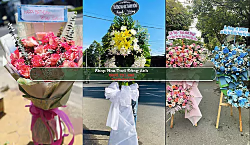 Shop Hoa Tươi Đông Anh - Huyện Đông Anh (Cũ)