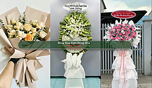 Shop Hoa Tươi Đông Hòa - Phú Yên (Cũ)