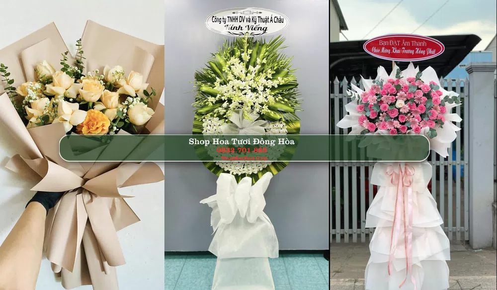 Shop Hoa Tươi Đông Hòa - Phú Yên (Cũ)