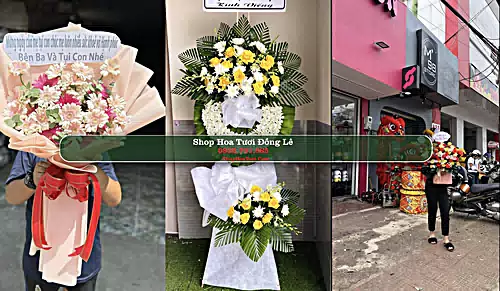 Shop Hoa Tươi Đồng Lê - Huyện Tuyên Hóa (Cũ)