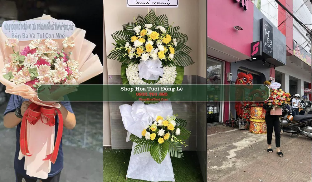 Shop Hoa Tươi Đồng Lê - Huyện Tuyên Hóa (Cũ)