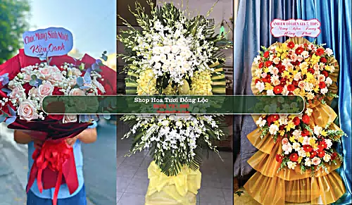 Shop Hoa Tươi Đồng Lộc - Huyện Can Lộc (Cũ)