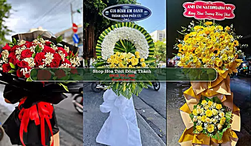 Shop Hoa Tươi Đông Thành - Huyện Đức Huệ (Cũ)