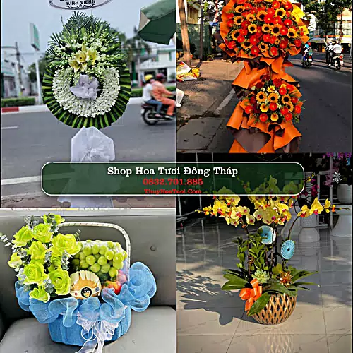 Đặt Hoa Tươi Đồng Tháp - Giao Nhanh Tận Nơi